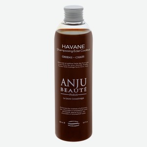 Anju Beaute шампунь  Рыжие, шоколадные и коричневые окрасы  (260 г) 