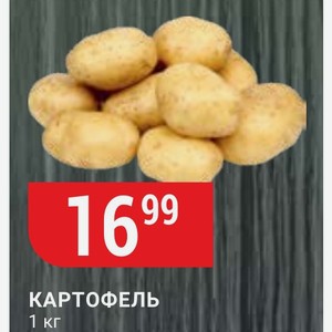 Картофель 1 кг.