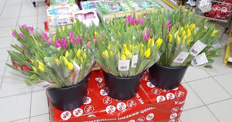 Живые цветы в пятерочке. Гиацинт в горшке пятерочка. Цветы в пятерочке. Пятерочка цветы. Цветы в пятерочке.